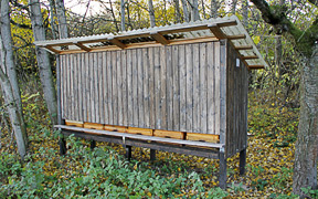 Bienenhaus 1